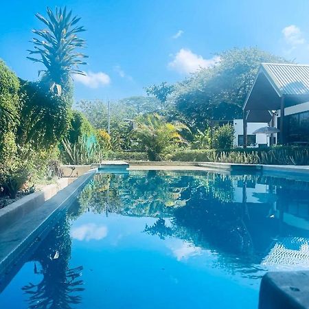 Villas Cabuya Beach & Jungle 외부 사진