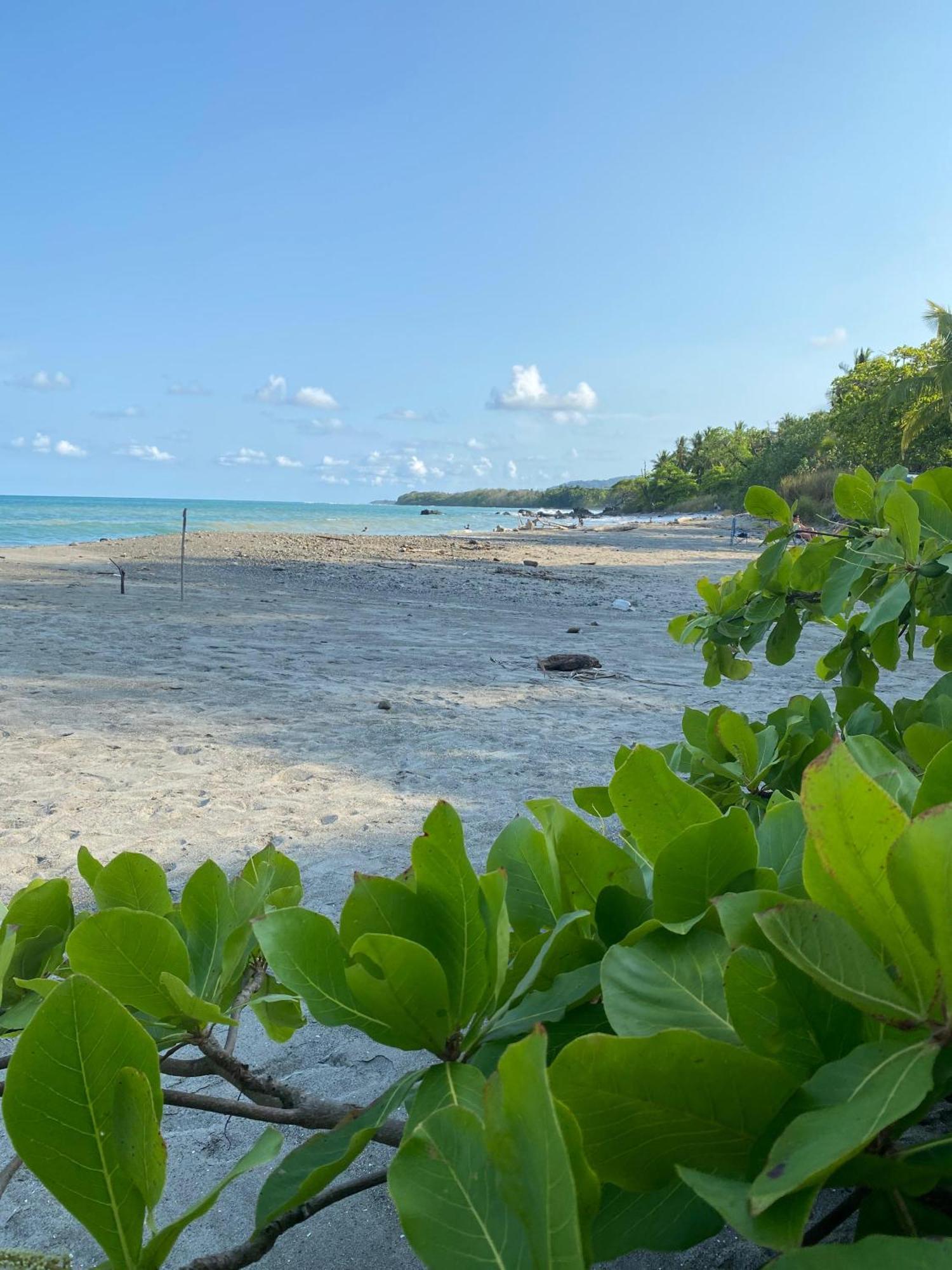 Villas Cabuya Beach & Jungle 외부 사진